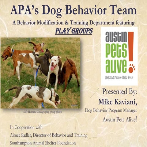 Large dog behavior | PDF