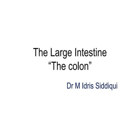 Colon anatomy | PPTX