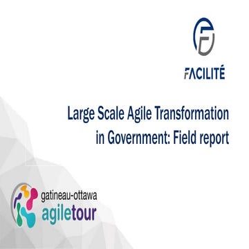 Large Scale Agile Transformation in Government: Field report