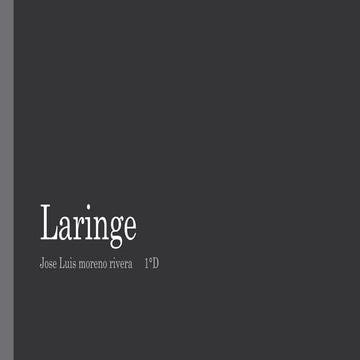 Anatomia de la Laringe