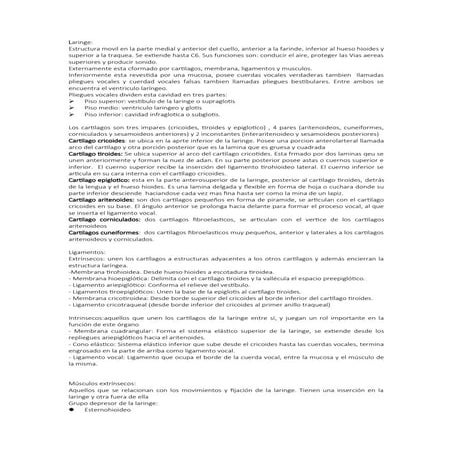 resumen practico y completo de laringe.docx