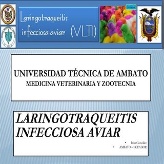 Laringotraqueitis aviar, gonzalez
