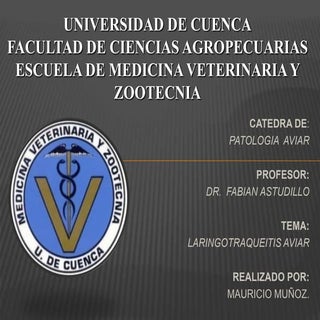 Laringotraqueitis Infecciosa  Aviar