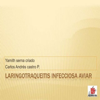 Laringotraqueitis infecciosa aviar