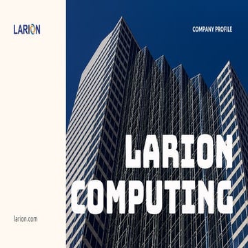 Larion Company Profile 
