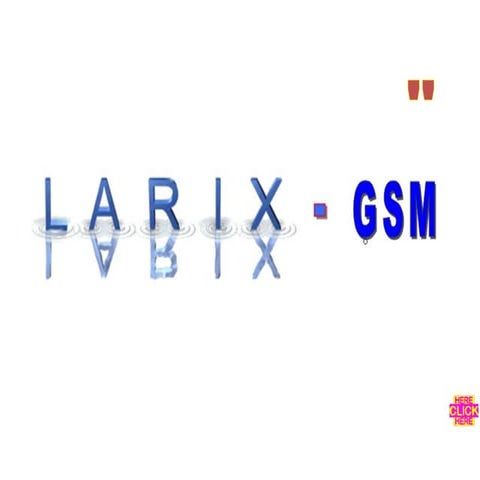 Larix-GSM He