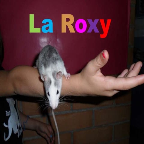 La roxy
