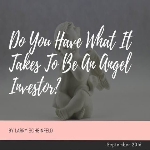 Larry Scheinfeld: Do You Have What It Takes To Be An Angel Investor? | PDF