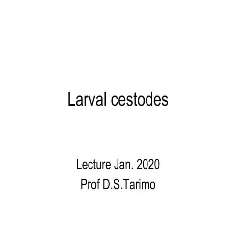 Larval cestodes who cause disease to humans