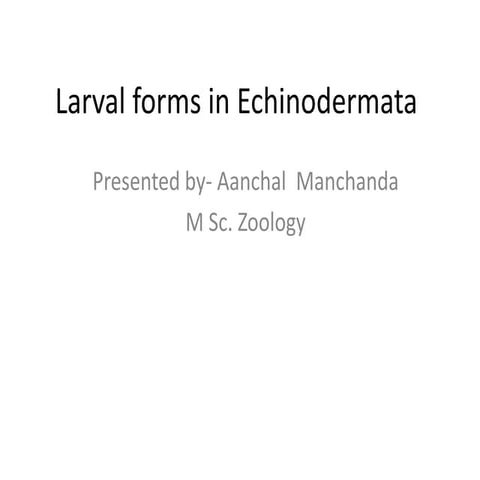 Larval forms in echinodermata