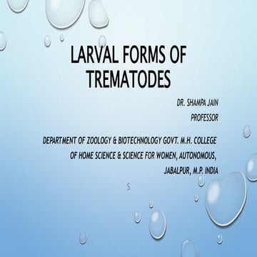 Larval forms of trematodes sj