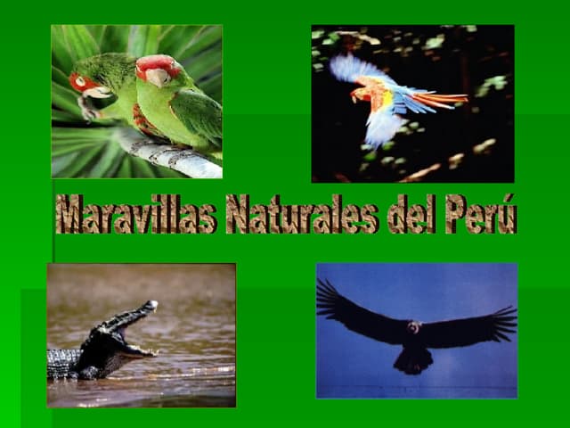 Las Maravillas Naturales