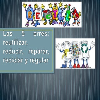 Proyecto de las 5 erres.