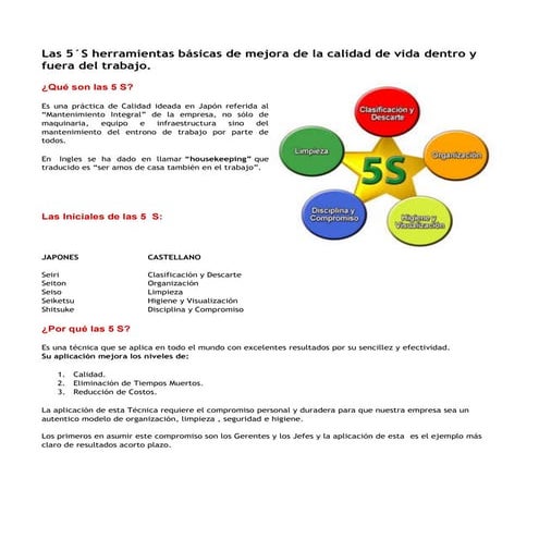 Las 5 s | PDF