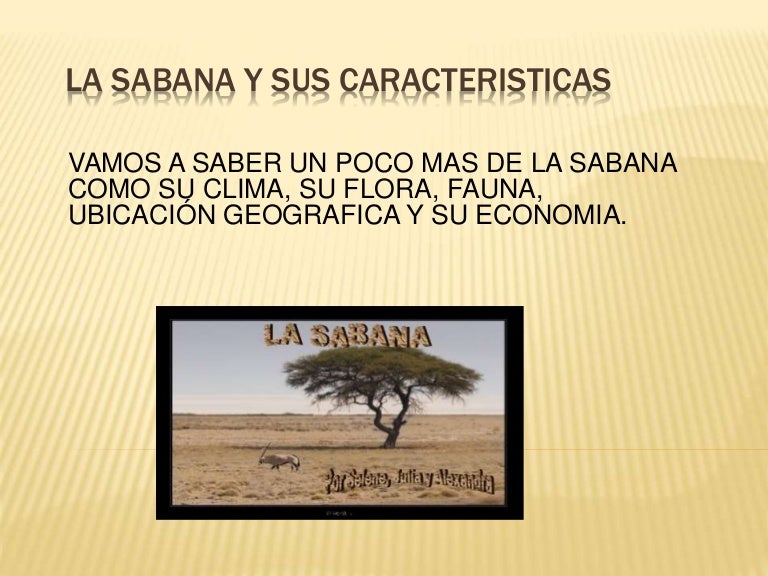 La sabana y sus caracteristicas