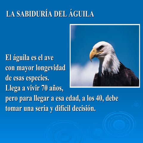 La sabiduría del águila
