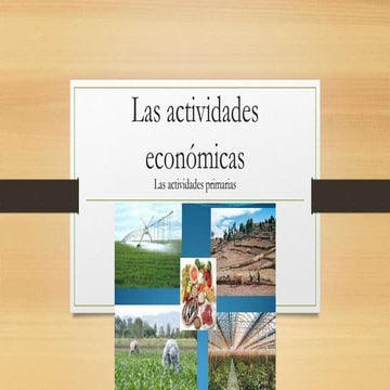 Las actividades económicas