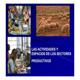 Las actividades y espacios de los s...
