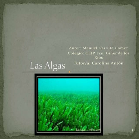Las Algas