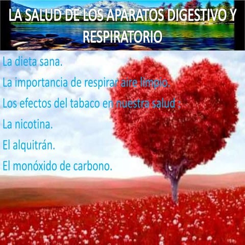 La salud de los aparatos digestivo y respiratorio