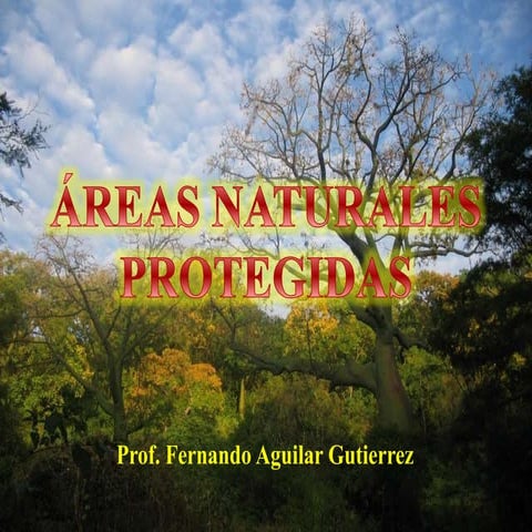 Las Areas Naturales Protegidas