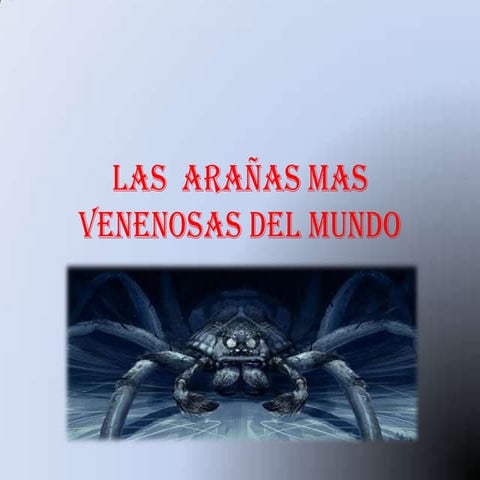 Las  arañas mas venenosas del mundo