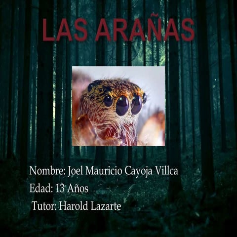 Las arañas 