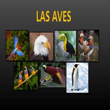 Las aves