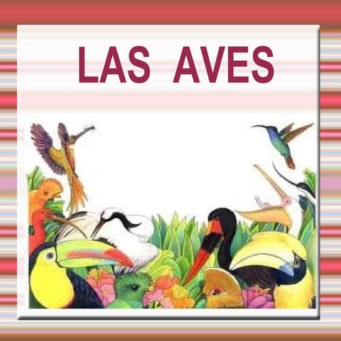 Las aves (trabajo de conocimiento)