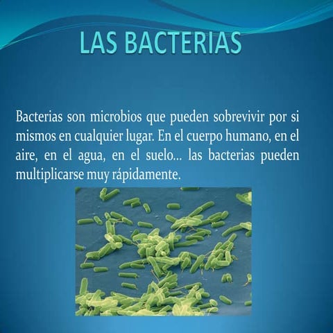 Las Bacterias
