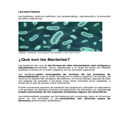 Las bacterias