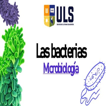 Descripción de las bacterias y su clasificación