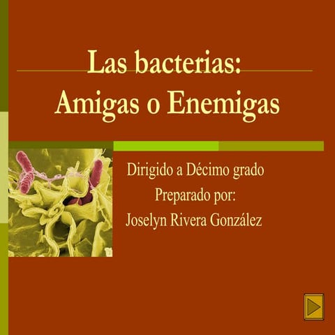 Las Bacterias Joselyn