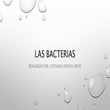 las bacterias - catalina zapata