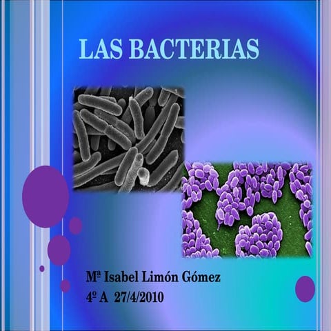 Las bacterias, presentacion