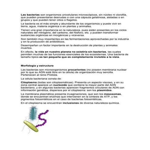 Las bacterias son organismos unicelulares microscópicos