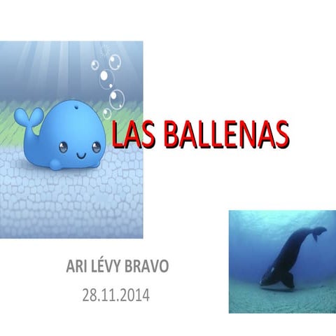 Las ballenas- Ari  2014