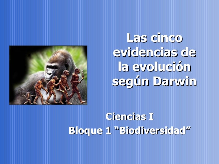 Las Cinco Evidencias De La EvolucióN SegúN Darwin