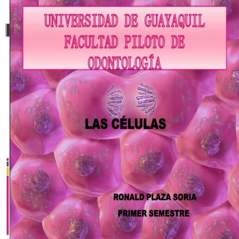 Las cã©lulas (1)