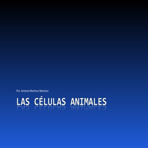 Las CéLulas Animales4