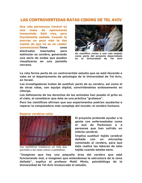 Las controvertidas ratas ciborg de ...