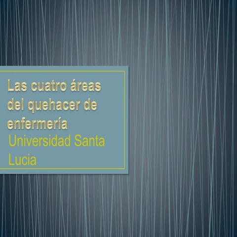 Las cuatro áreas del quehacer de enfermería