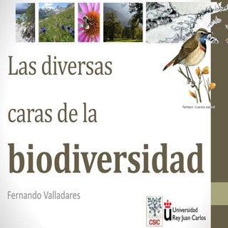 Conferencia: Las diversas caras de ...