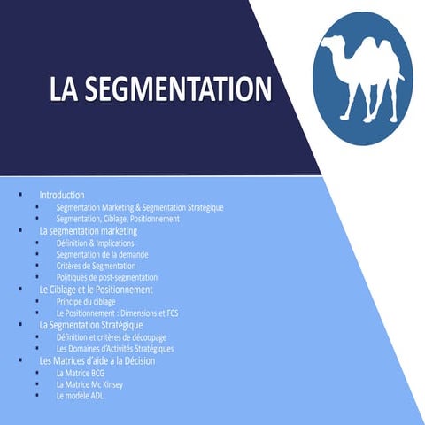 La segmentation