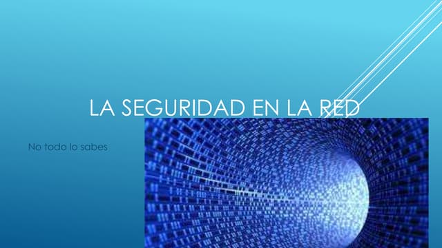 La seguridad en la red 