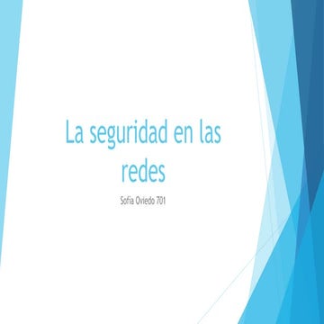 La seguridad en las redes