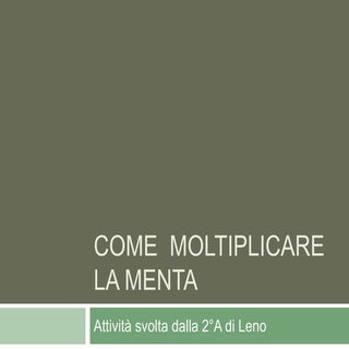Come moltiplicare la menta
