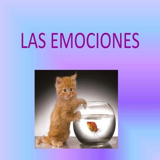 Las emociones