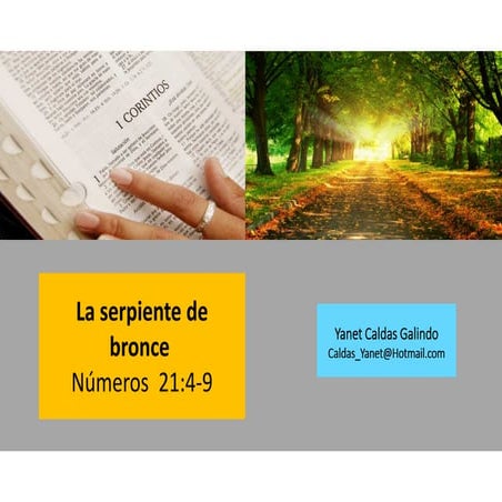 La serpiente de bronce