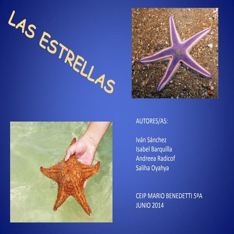 Proyecto de investigación. Las estrellas. CEIP Mario Benedetti. 5ºA.